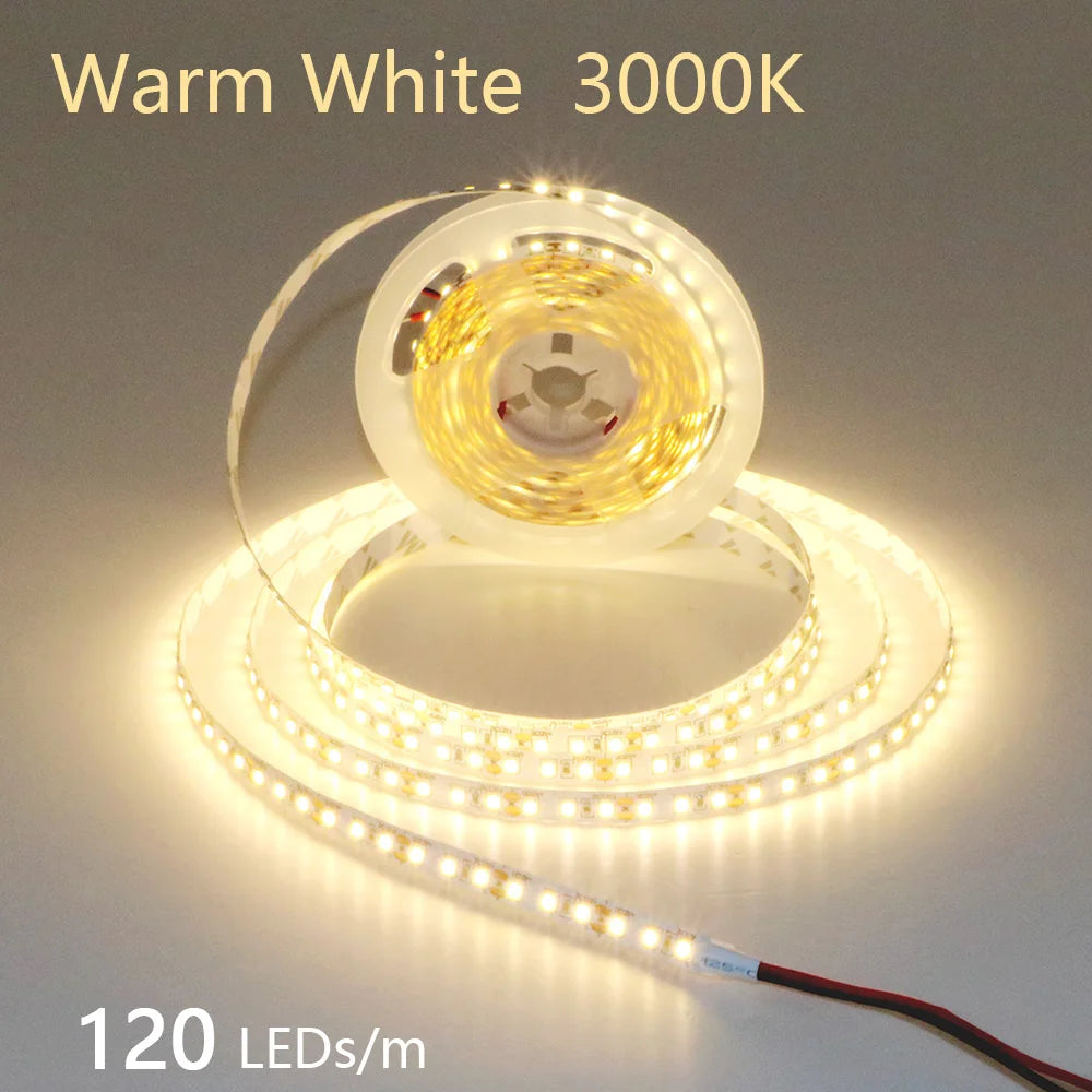 2835 5M 300 600 1200LEDs LED Strip DC12V 24V 120LEDs/m Home Waterproof IP65 Lamp Strip  Flexible And Cuttable Soft Lamp Bar
