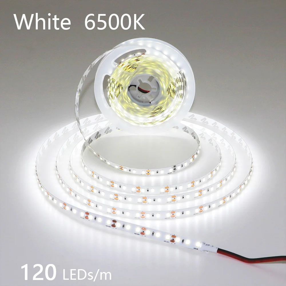 2835 5M 300 600 1200LEDs LED Strip DC12V 24V 120LEDs/m Home Waterproof IP65 Lamp Strip  Flexible And Cuttable Soft Lamp Bar