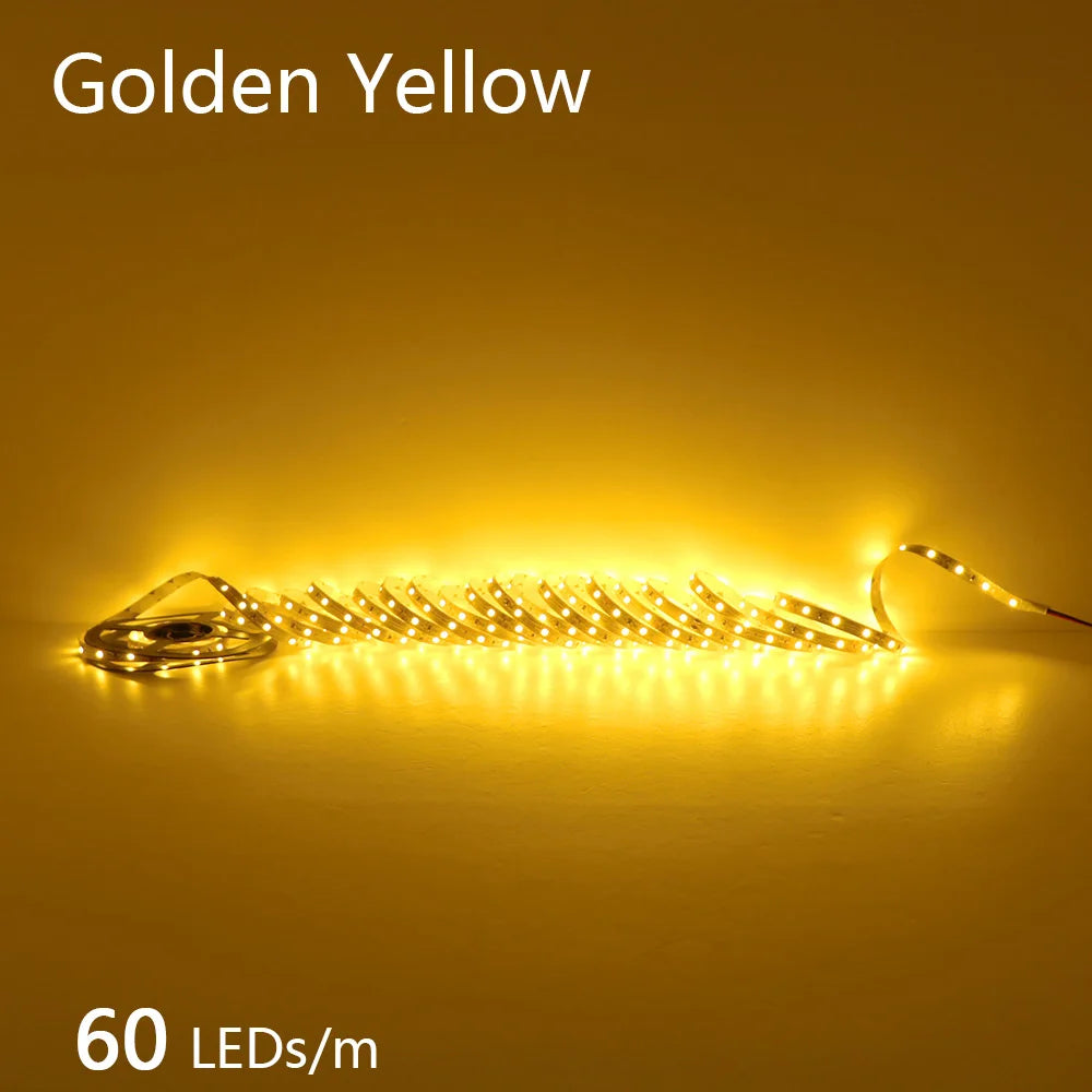2835 5M 300 600 1200LEDs LED Strip DC12V 24V 120LEDs/m Home Waterproof IP65 Lamp Strip  Flexible And Cuttable Soft Lamp Bar