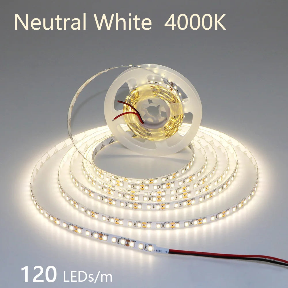 2835 5M 300 600 1200LEDs LED Strip DC12V 24V 120LEDs/m Home Waterproof IP65 Lamp Strip  Flexible And Cuttable Soft Lamp Bar