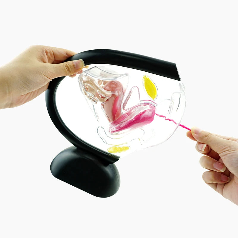 Medical Silicone Menstrual Disc With String Menstrual Cup Period Menstrual Collector Menstruation Disk Women Health Care Hygiene