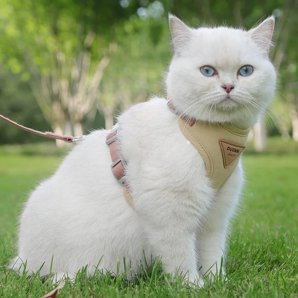 Pet Products for Cats Detachable Collar Pets Kittens Harness Accessories Goods Cute Kitten Animal Animals Stuff Dogs Tag Collars