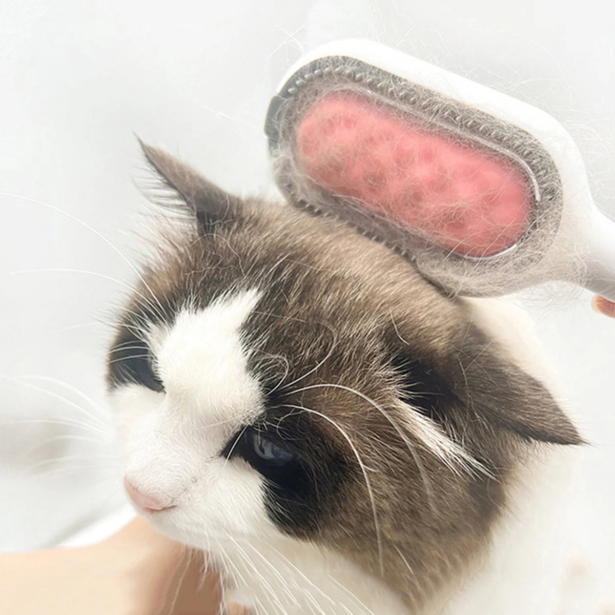 Pet Products Cat Comb for Cats Pet Hair Remover Brush Dog and Cat Brush Accessories dogs Animal Cat Massage Grooming Wool Brush