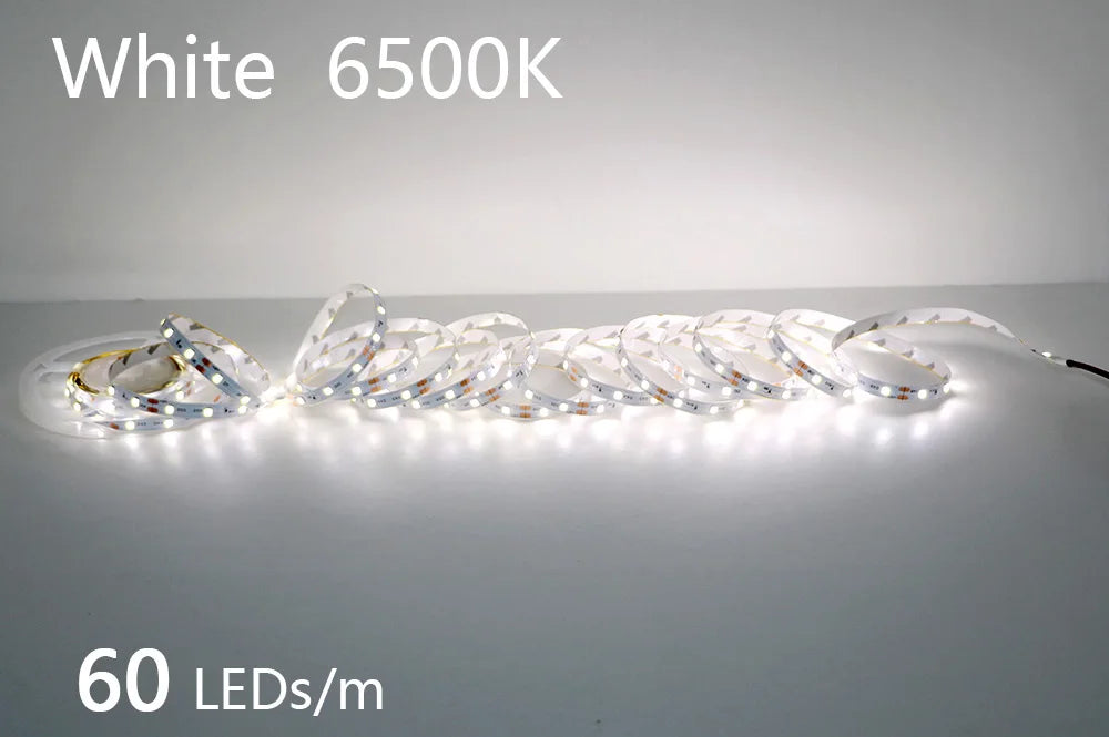 2835 5M 300 600 1200LEDs LED Strip DC12V 24V 120LEDs/m Home Waterproof IP65 Lamp Strip  Flexible And Cuttable Soft Lamp Bar