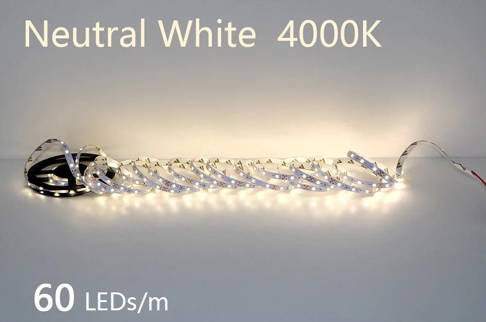 2835 5M 300 600 1200LEDs LED Strip DC12V 24V 120LEDs/m Home Waterproof IP65 Lamp Strip  Flexible And Cuttable Soft Lamp Bar