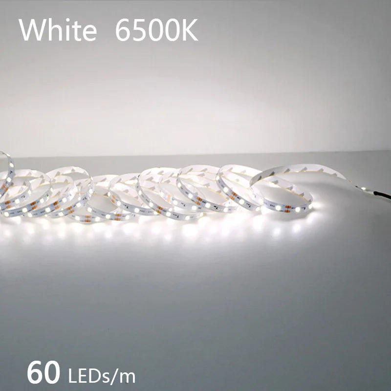 2835 5M 300 600 1200LEDs LED Strip DC12V 24V 120LEDs/m Home Waterproof IP65 Lamp Strip  Flexible And Cuttable Soft Lamp Bar