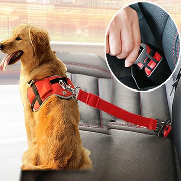 Pet Leash 1PC Cat & Dog Products Car Harness Retractable Chest & Back Collar Outdoor Dog Walking Pet Products