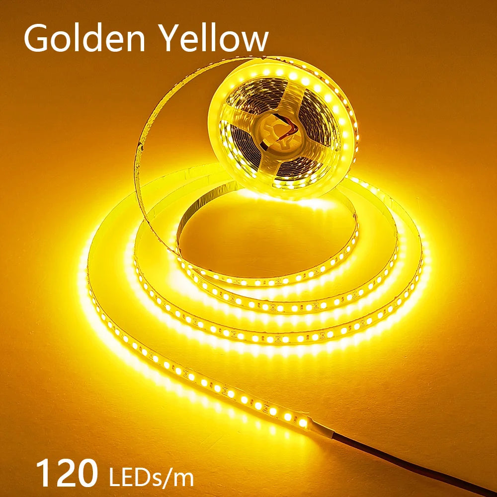 2835 5M 300 600 1200LEDs LED Strip DC12V 24V 120LEDs/m Home Waterproof IP65 Lamp Strip  Flexible And Cuttable Soft Lamp Bar
