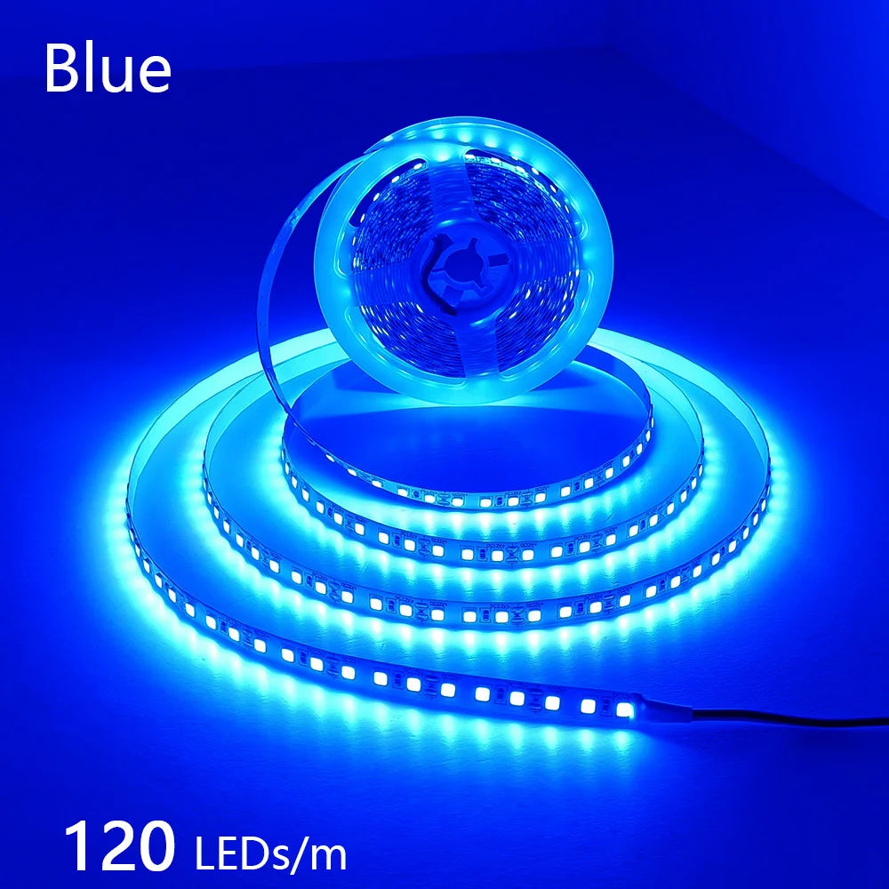 2835 5M 300 600 1200LEDs LED Strip DC12V 24V 120LEDs/m Home Waterproof IP65 Lamp Strip  Flexible And Cuttable Soft Lamp Bar