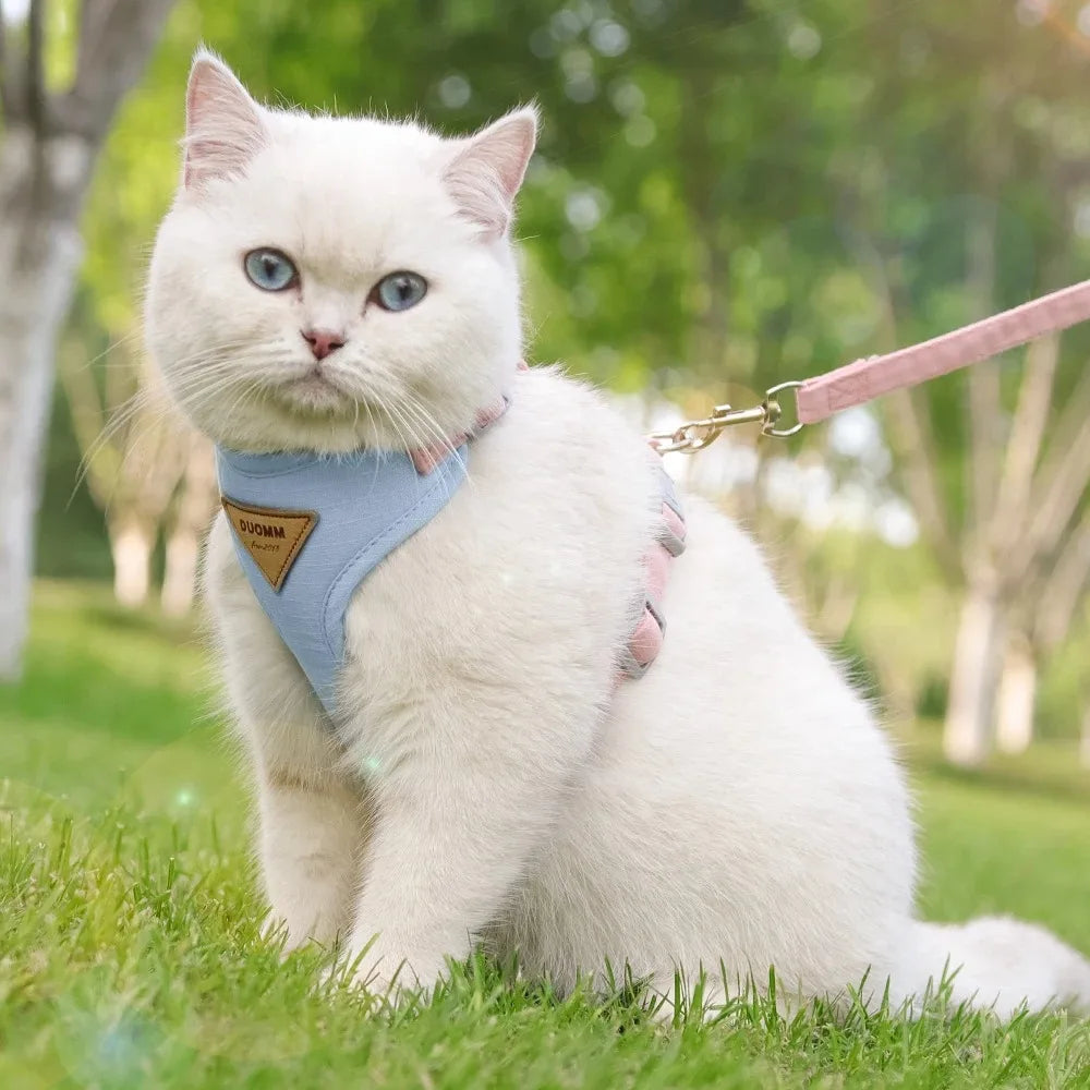 Pet Products for Cats Detachable Collar Pets Kittens Harness Accessories Goods Cute Kitten Animal Animals Stuff Dogs Tag Collars
