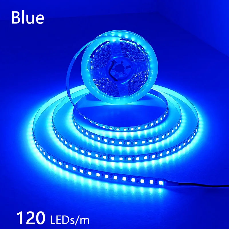 2835 5M 300 600 1200LEDs LED Strip DC12V 24V 120LEDs/m Home Waterproof IP65 Lamp Strip  Flexible And Cuttable Soft Lamp Bar