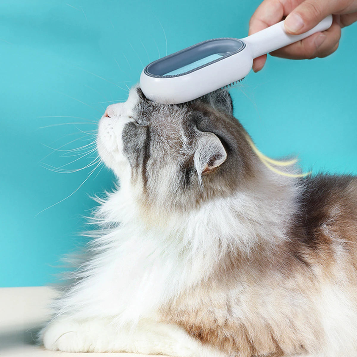 Pet Products Cat Comb for Cats Pet Hair Remover Brush Dog and Cat Brush Accessories dogs Animal Cat Massage Grooming Wool Brush