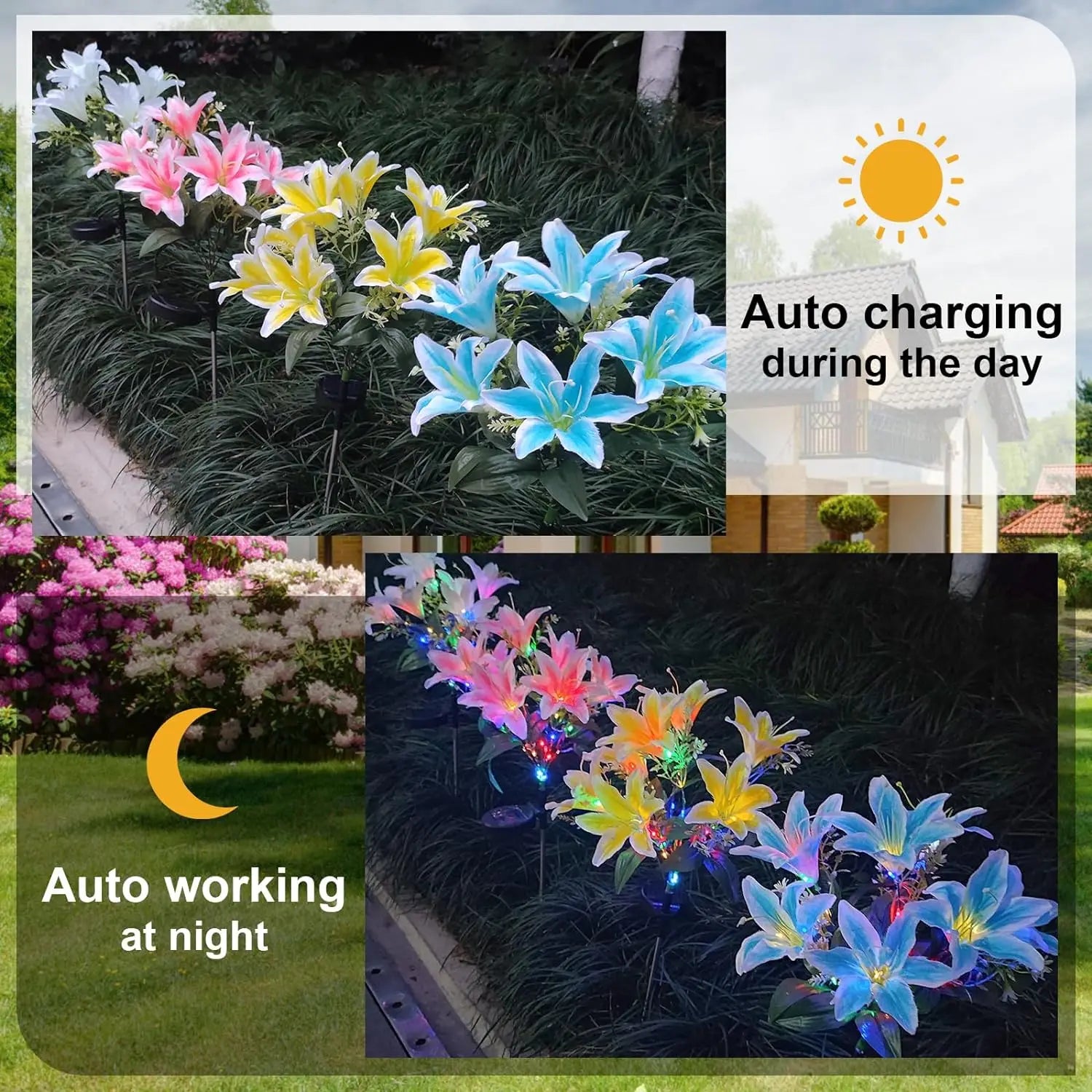 Lily Flower Solar Outdoor Light Ip65 Waterproof Solar Powered for Garden Pathway Landscape Lights Courtyard Yard Decoration