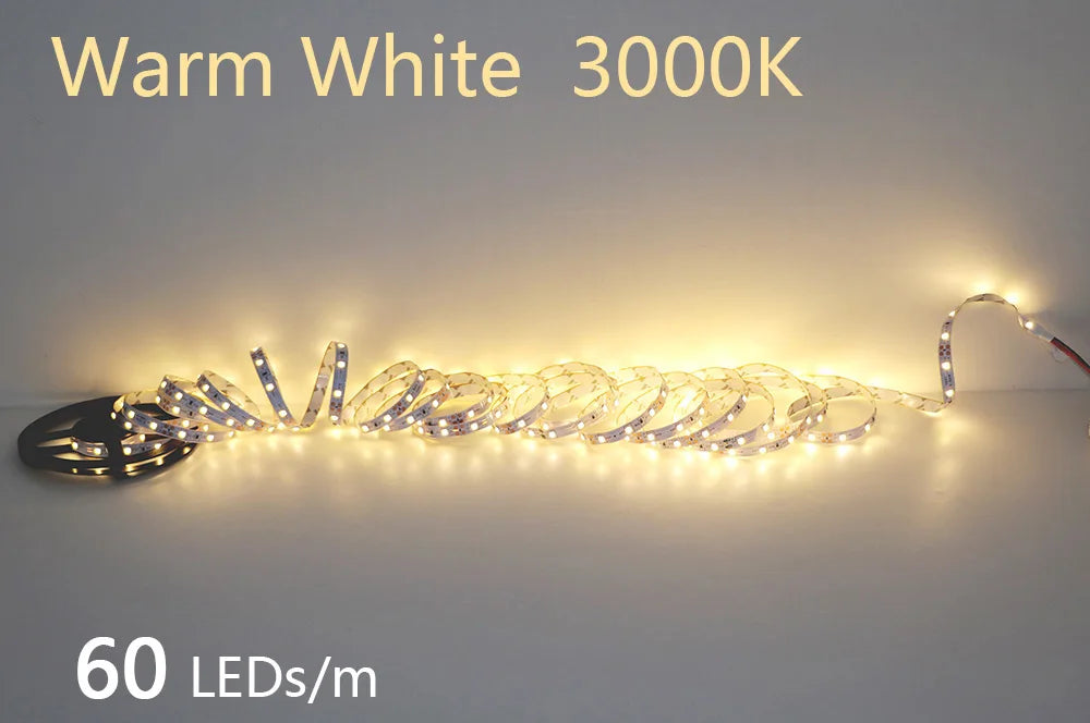 2835 5M 300 600 1200LEDs LED Strip DC12V 24V 120LEDs/m Home Waterproof IP65 Lamp Strip  Flexible And Cuttable Soft Lamp Bar