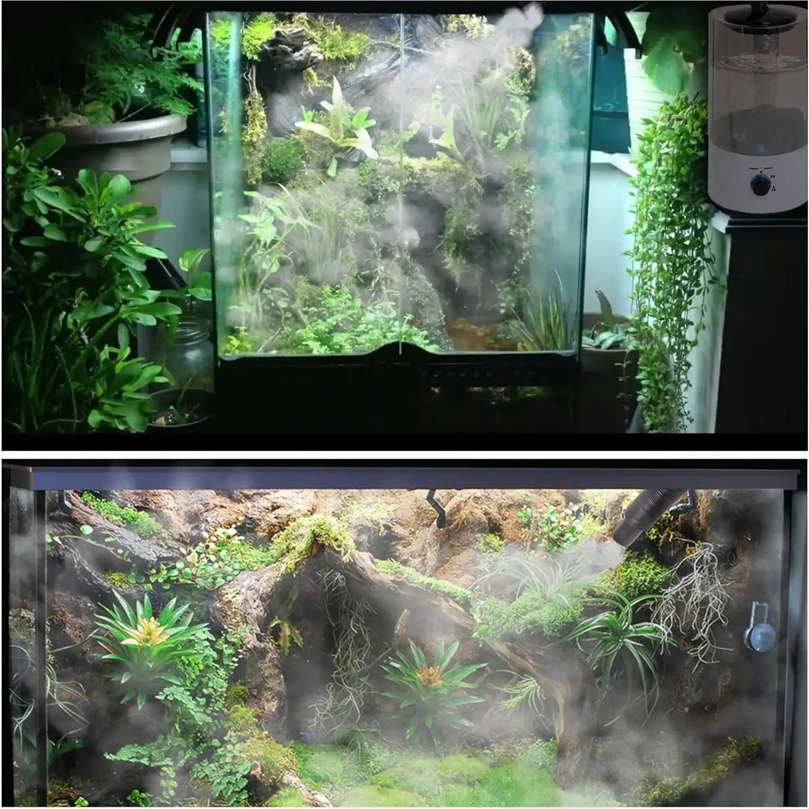 Reptile Fogger Humidifier Auto Shutdown Anti Dry Large Capacity for Turtle Chameleon Gecko Snake Terrarium Misting Machine