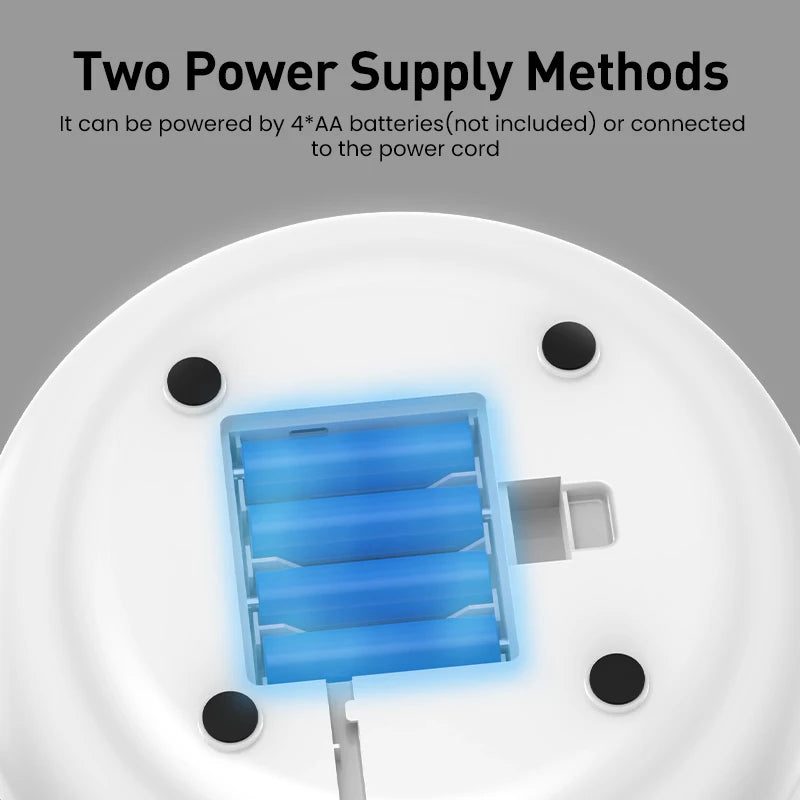 2-in-1 Smart Interactive Cat Toy Set Feather