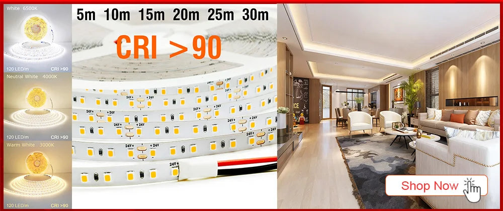 2835 5M 300 600 1200LEDs LED Strip DC12V 24V 120LEDs/m Home Waterproof IP65 Lamp Strip  Flexible And Cuttable Soft Lamp Bar