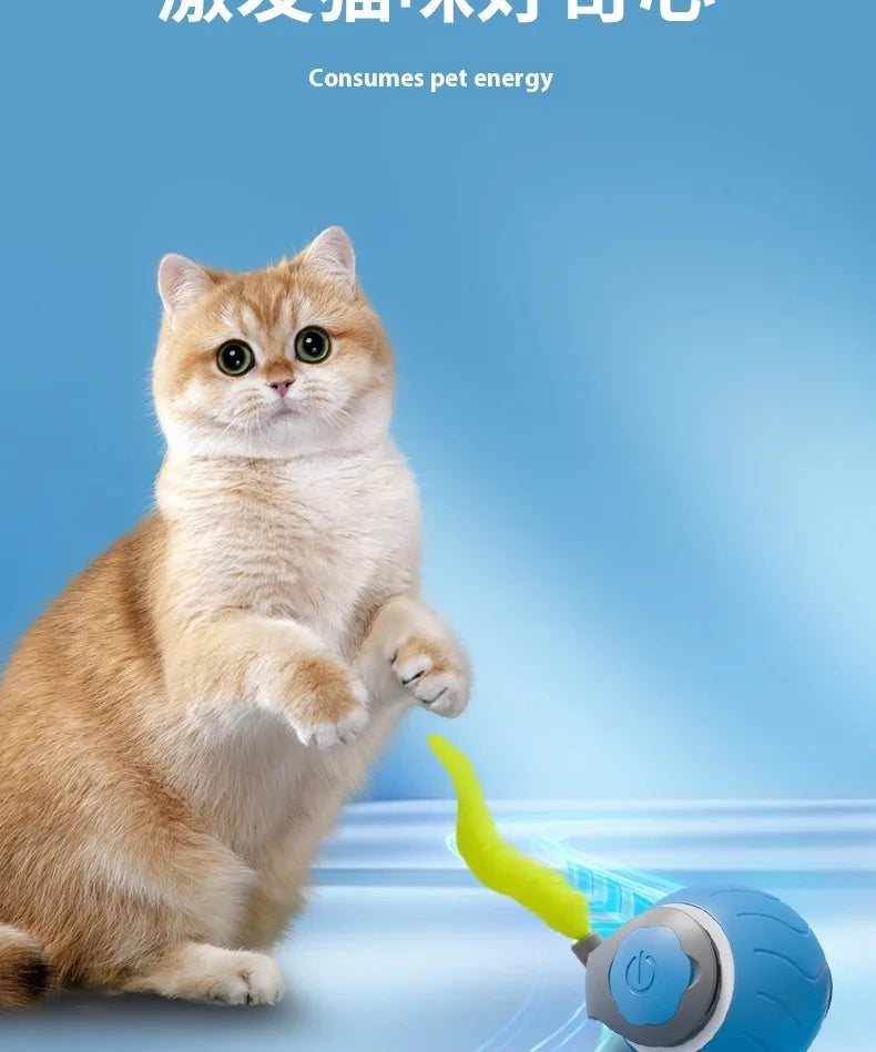 Smart Interactive Cat Toy Ball with Tail
