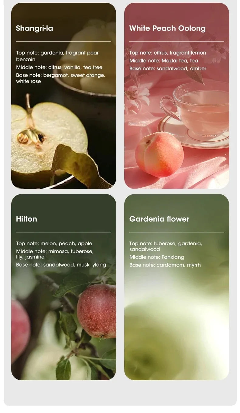 Smart Aroma Diffuser Air Purifier Digital Display 4 Gears USB Charging Wall Mount Tabletop Plant Essential Oils for Living Room